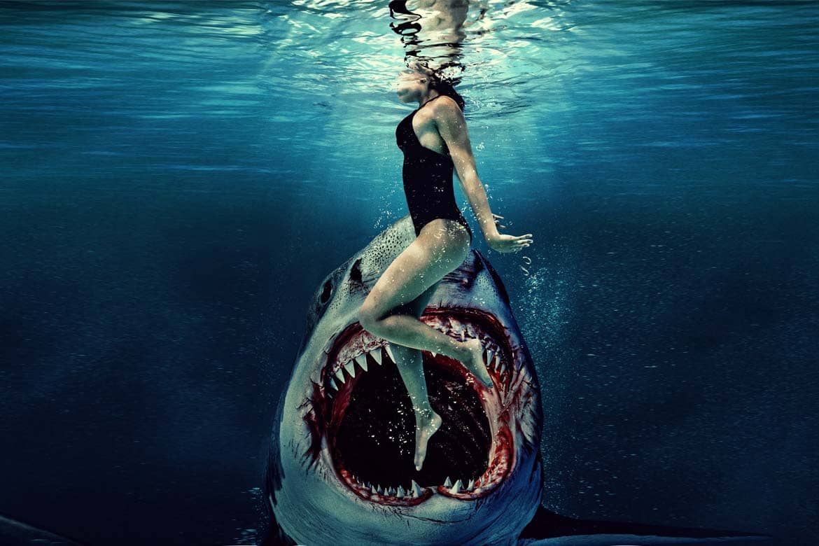 Something in the Water