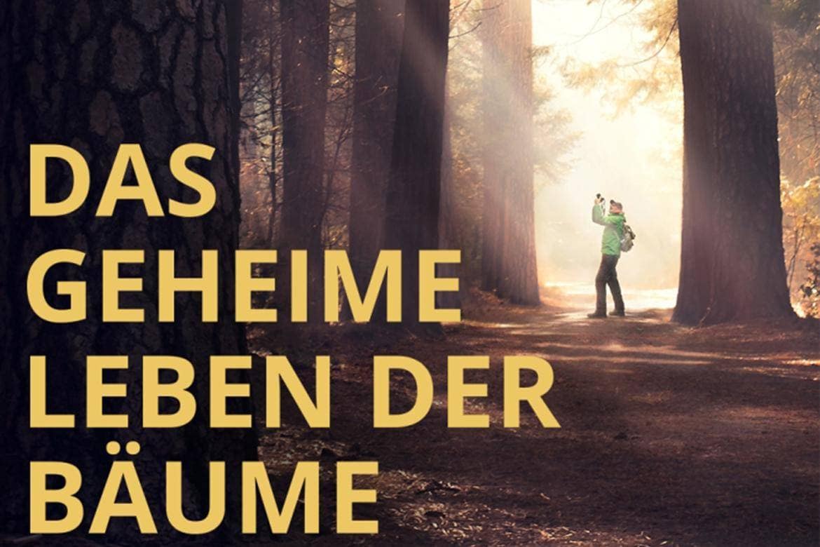Das geheime Leben der Bäume