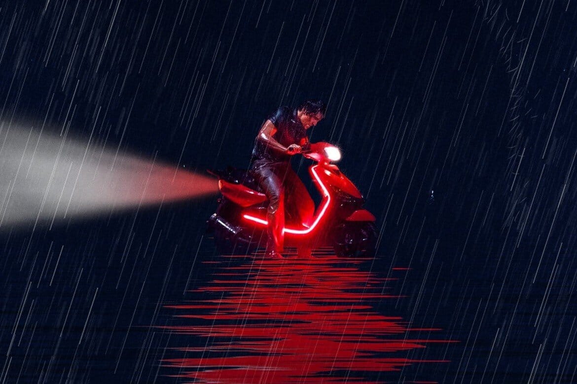 Der See der wilden Gänse