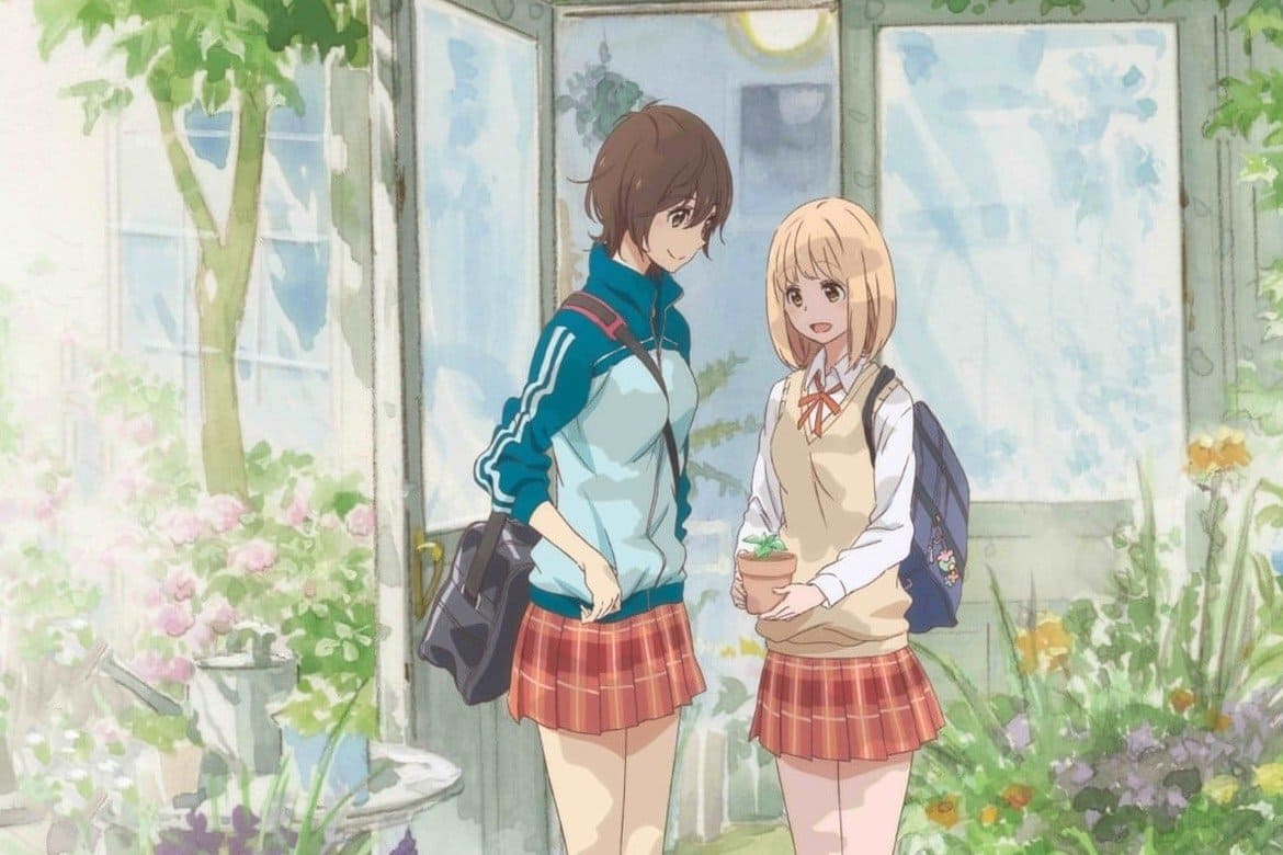 Kaze Anime Nights Girls Love