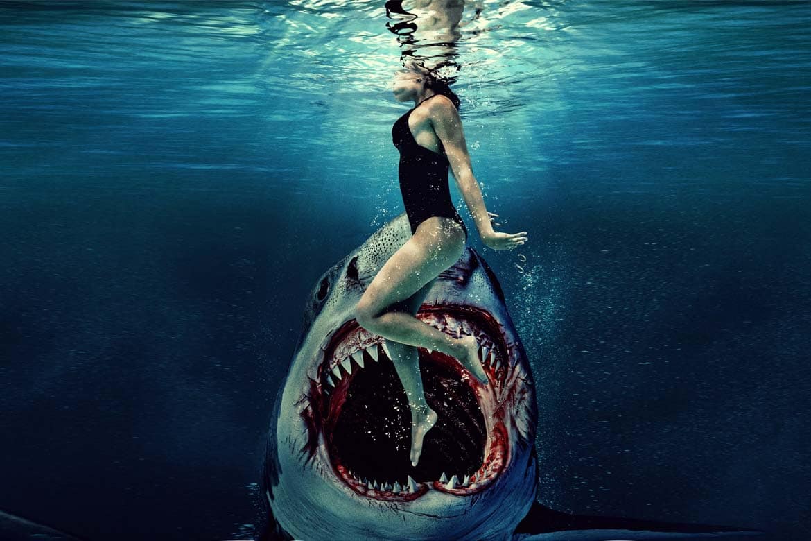 Something in the Water