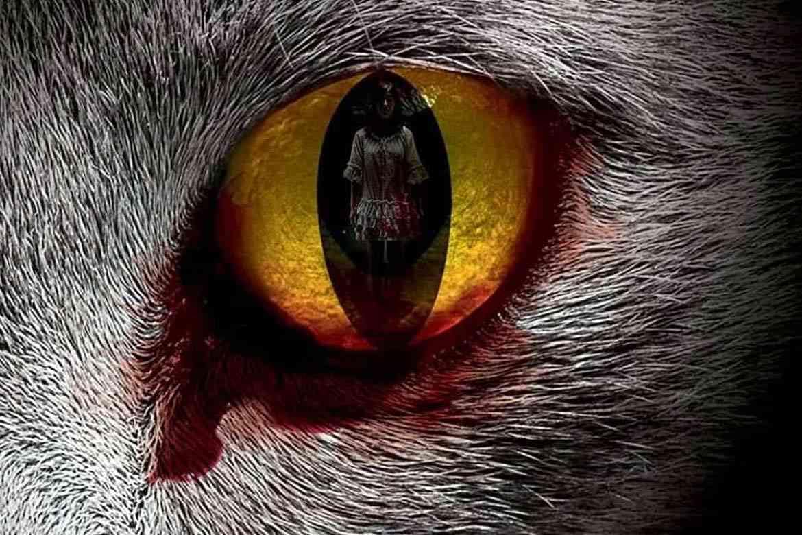 The Cat Horrorfilm
