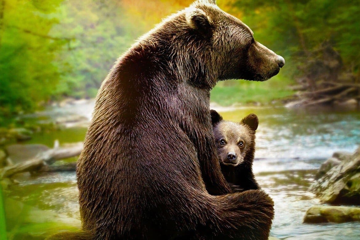 Tierisch gute Erziehung