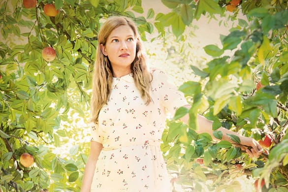 Der Geschmack von Apfelkernen