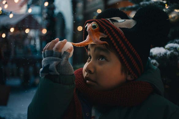 Der Junge & der Oktopus