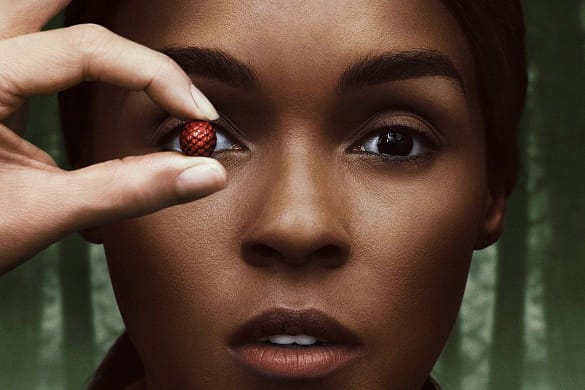 Homecoming Amazon Serie