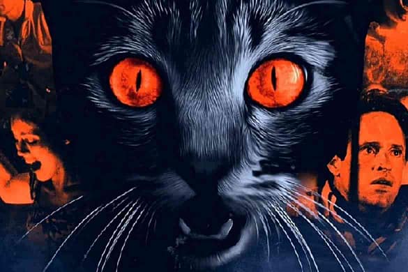 Stephen King: Katzenauge