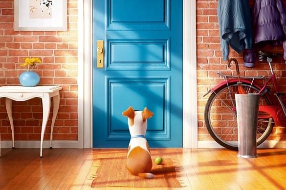 The Secret Life of Pets 2016