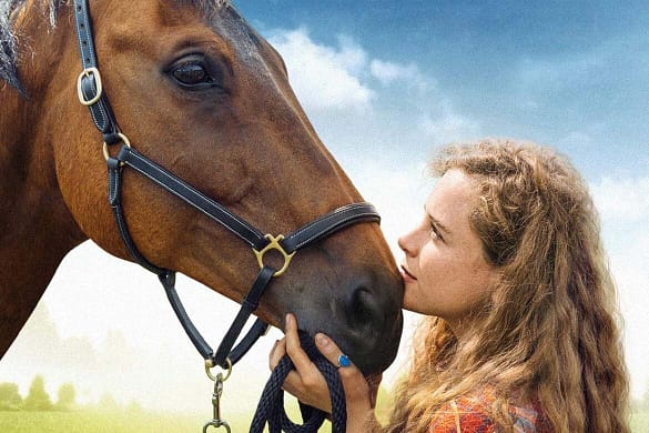 Reiterhof Wildenstein