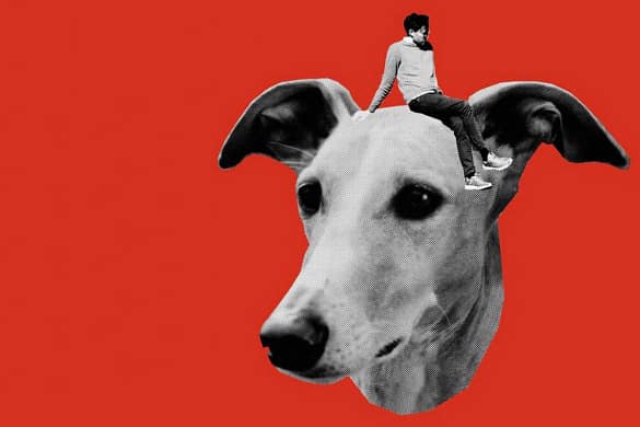 Selbstkritik eines bürgerlichen Hundes