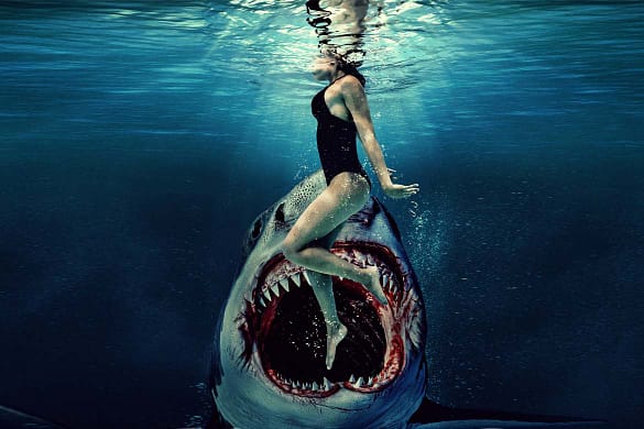 Something in the Water