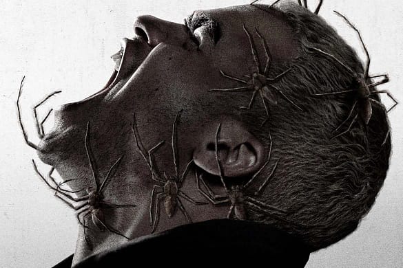 Spiders - Ihr Biss ist der Tod