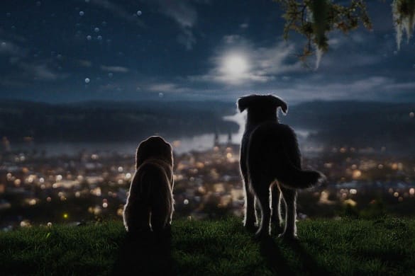 Lady and the Tramp 2019