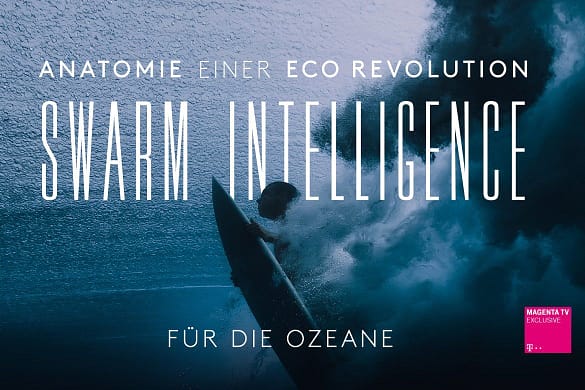 Swarm Intelligence Doku