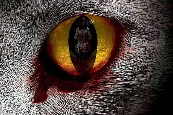 The Cat Horrorfilm