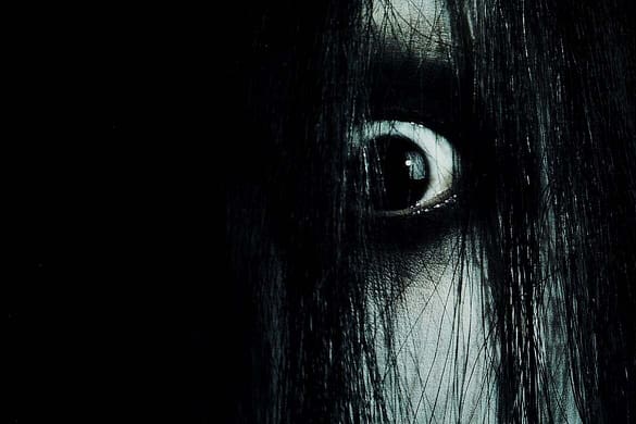 The Grudge Der Fluch