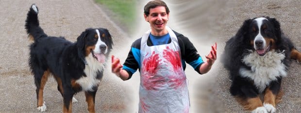 Die 7 Psycho Blogger