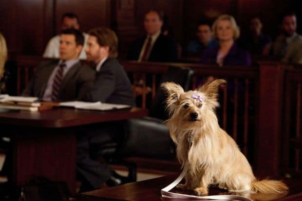 Franklin & Bash s02e03