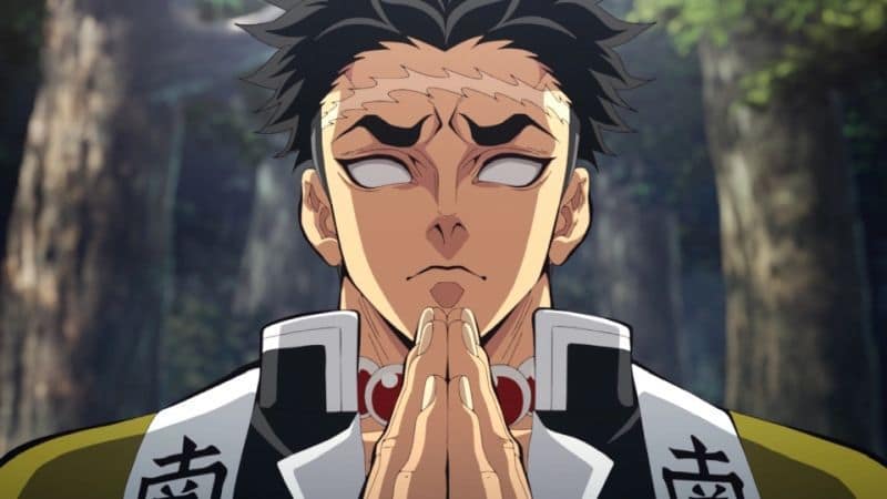 Demon Slayer: Kimetsu no Yaiba - Hashira Training Arc Kritik