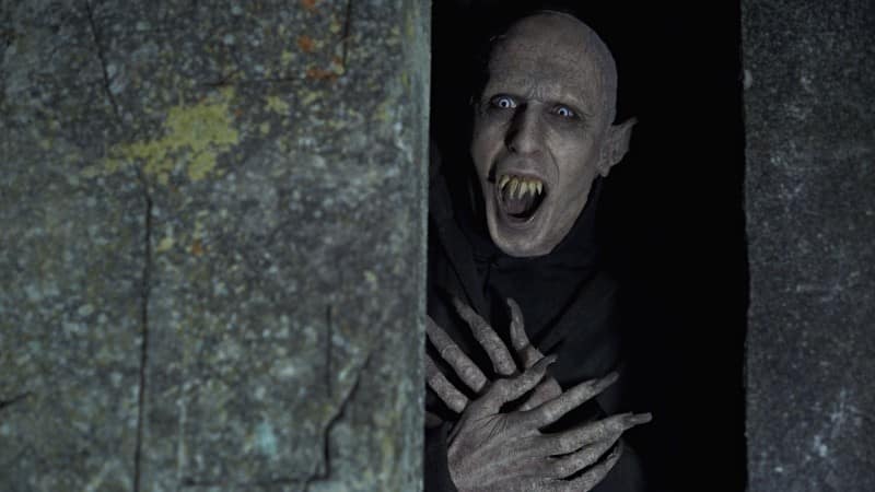 5 Zimmer, Küche, Sarg Kritik