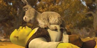 shrek41 shrek41