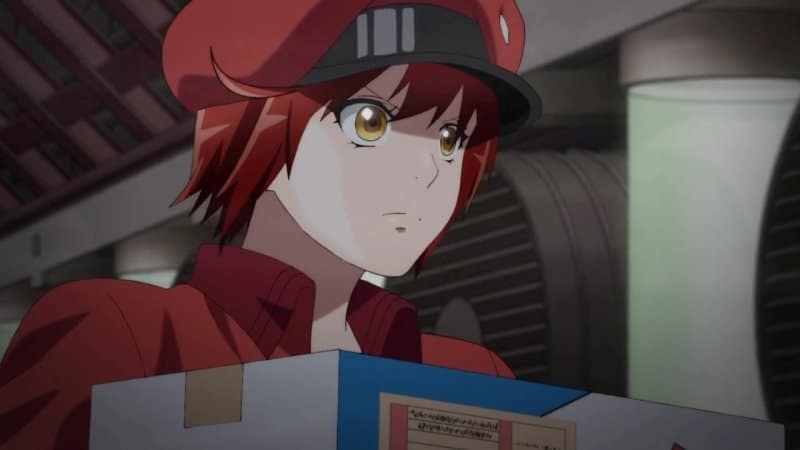Cells at Work! Anime