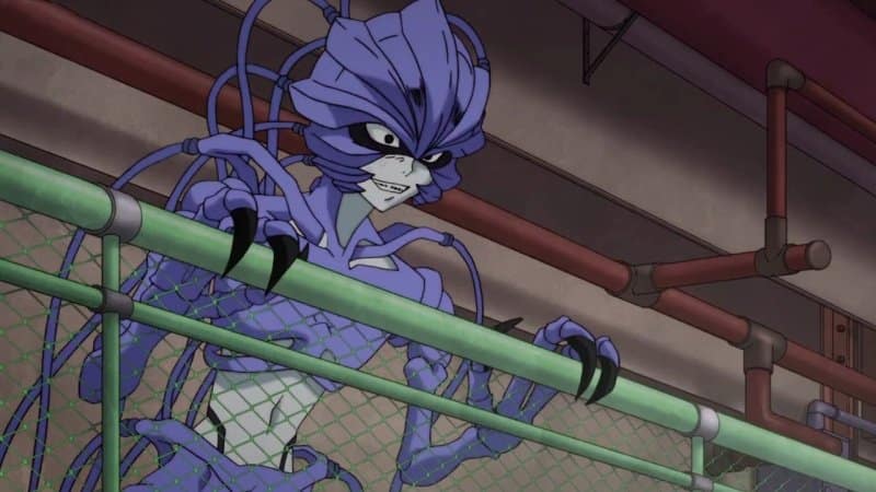 Cells at Work! Anime