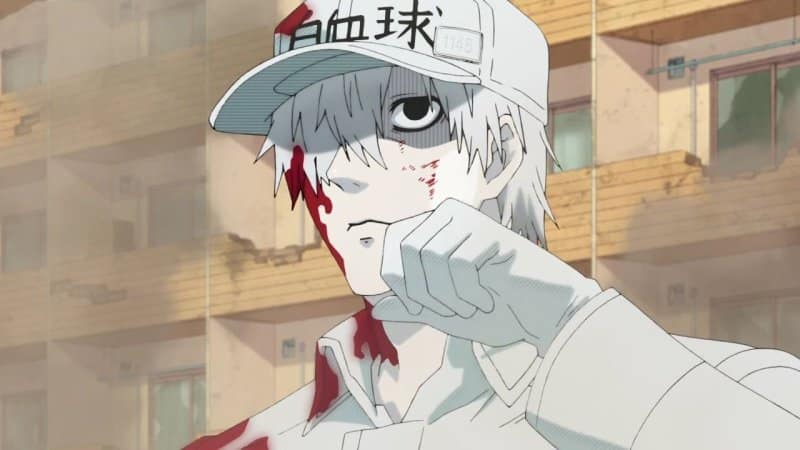 Cells at Work! Anime