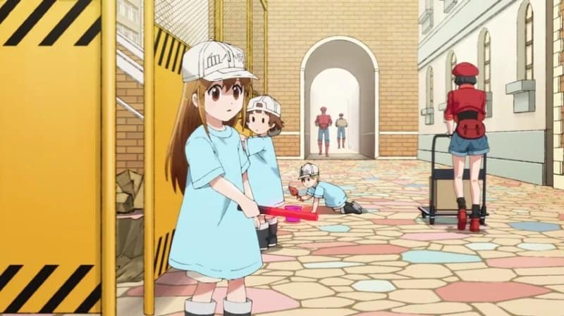 Cells at Work! Anime