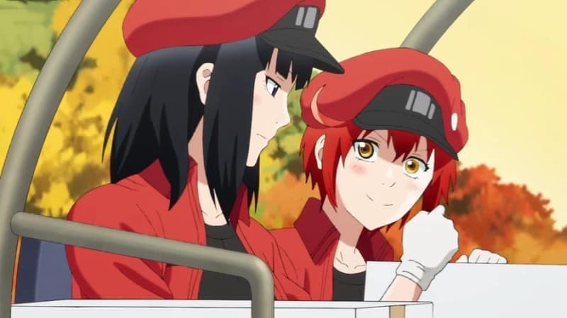 Cells at Work! Anime