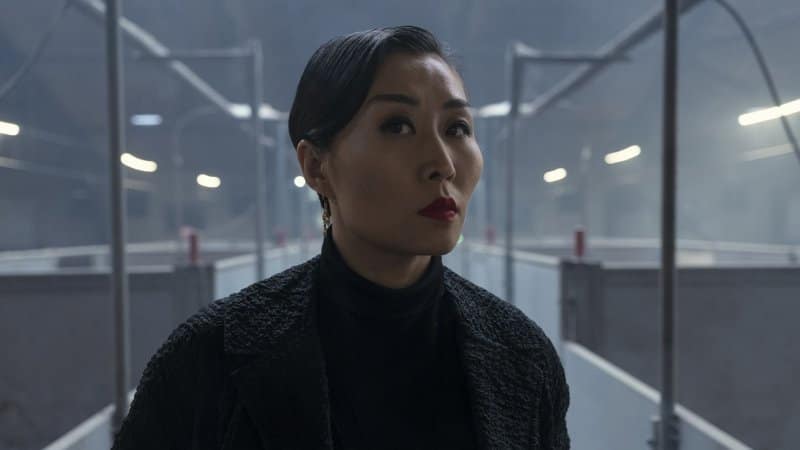 Copenhagen Cowboy Kritik