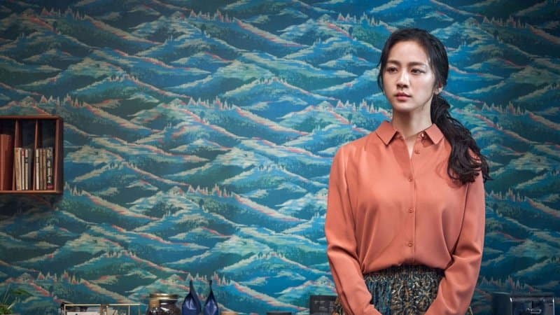 Die Frau im Nebel Kritik