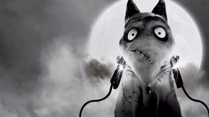 Frankenweenie Filmkritik