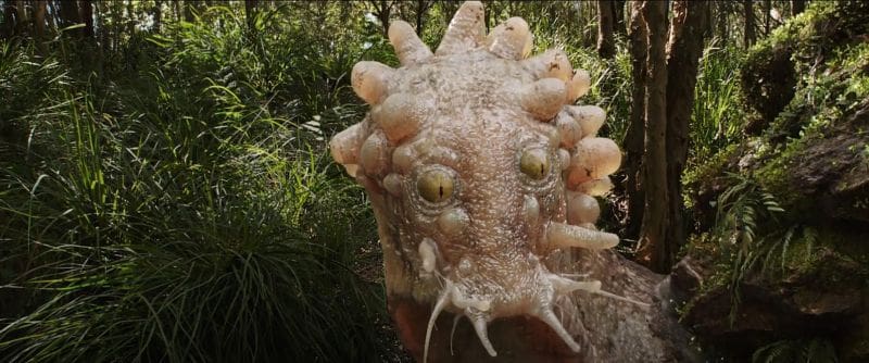 Love and Monsters Anime Filmkritik