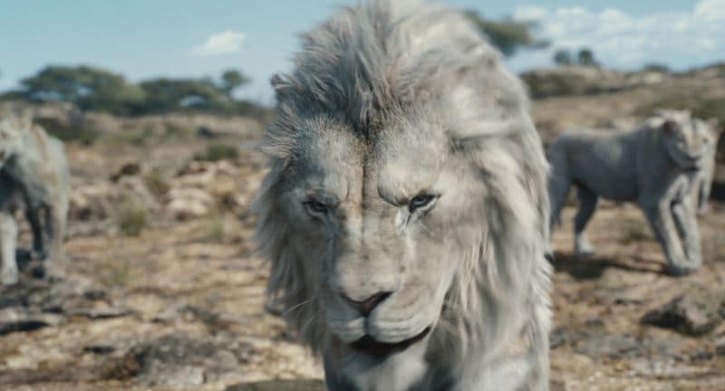 Mufasa: Der König der Löwen Filmkritik