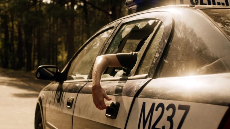 Nobody Sleeps in the Woods Tonight Kritik