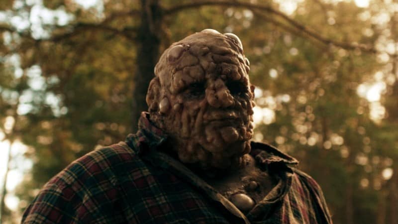 Nobody Sleeps in the Woods Tonight Kritik