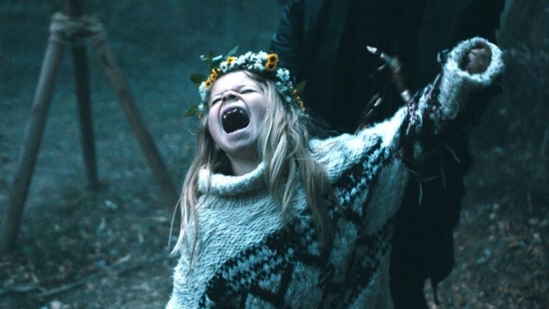 Pelikanblut Filmkritik