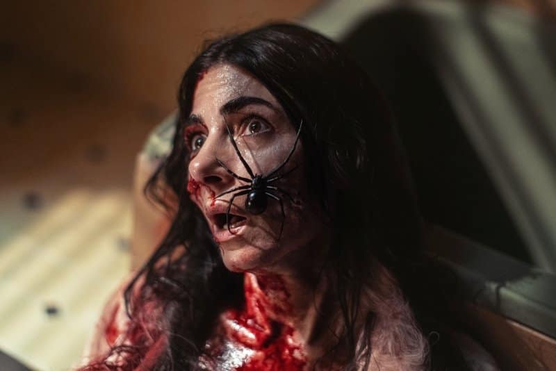 Sting Horrorfilm Kritik