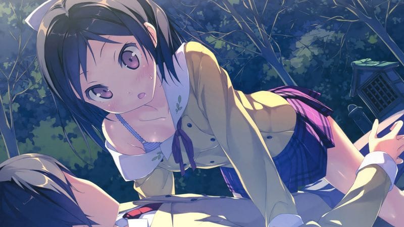 The Hentai Prince and the Stony Cat Anime Kritik