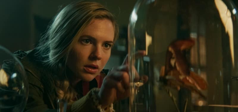 The Mortuary - Jeder Tod hat eine Geschichte 2019 Filmkitik