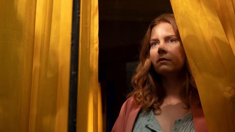 The Woman in the Window Filmkritik