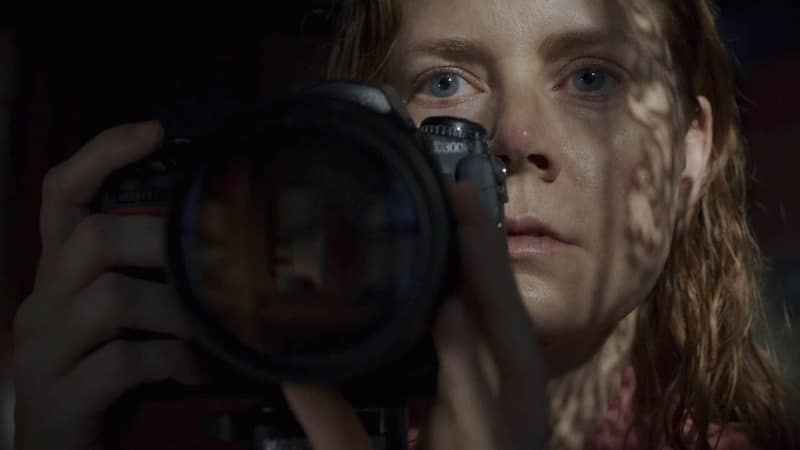 The Woman in the Window Filmkritik