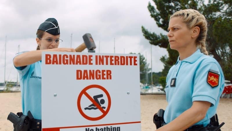 Year of the Shark Kritik