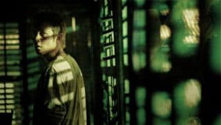 dogbitedog1 dogbitedog1