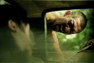 dogbitedog2 dogbitedog2