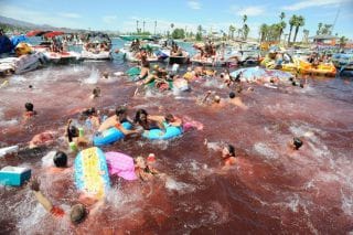 piranha3d1 piranha3d1