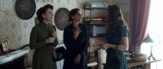 shrews_nest_4 shrews_nest_4