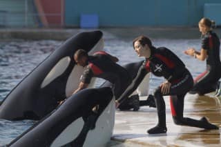 dergeschmackvonrostundknochen_2 dergeschmackvonrostundknochen_2