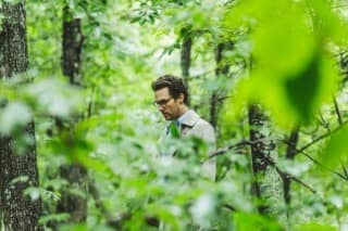 theseaoftrees_1 theseaoftrees_1